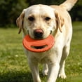 thumbnail image 3 of ZZHZGZ on Sale with Handles Floating Training Activity Flyer, 3 of 6