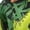 Green, variant on Toddler Girls Lightweight Jacket Print Zip Windbreaker Coats Hooded Trendy Casual Fall Winter Outerwear
