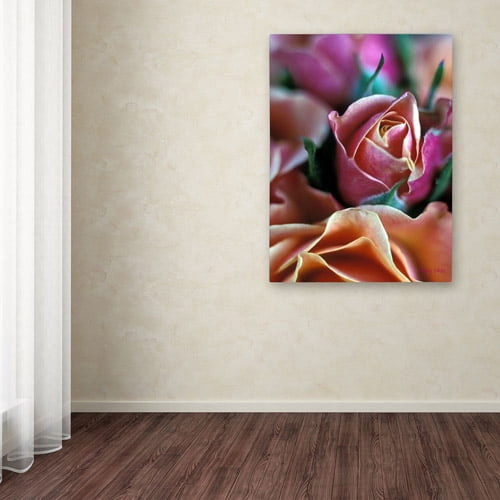 "Mauve and Peach Roses" Canvas Art by Kathy Yates
