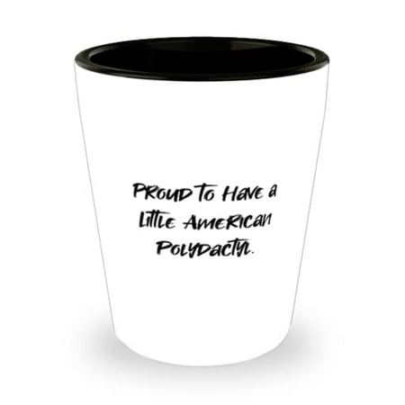 

Inspirational American Polydactyl Cat Proud to Have a Little American Polydactyl Holiday Shot Glass For American Polydactyl Cat