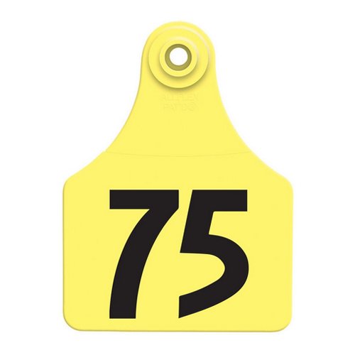 Global Large, Numbered (25) Color: Yellow Number: 51-75
