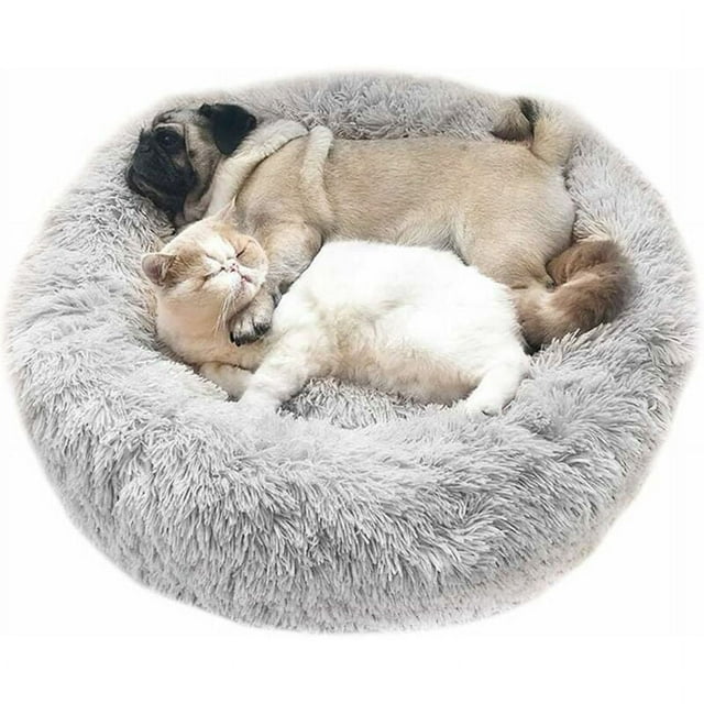 Jinsinto Lit pour Chat Lit pour Animal de Compagnie Adorable, Petit Lit pour Chi Lit pour Animaux en Peluche Rond Doux Lit pour Chat (50cm)