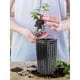 thumbnail image 3 of 20 Pack Tall Tree Pots For Indoor Outdoor Gardening-premium Thickened Deep Nursery Planting Basin With Drainage Hole Nutrition Cup-for Trees, 3 of 5