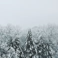 thumbnail image 2 of Schlabach, Sue 15x15 Black Ornate Wood Framed with Double Matting Museum Art Print Titled - Snowshoe Hill Deep Crop, 2 of 4