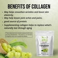 thumbnail image 4 of VITINITY SUPER FOOD COLLAGEN ( TYPE 1 & TYPE 3) POWDER WITH CLINICALLY PROVEN INGREDIENT (AMLA) FOR ADULTS ( 30 DAY SUPPLY), 4 of 5