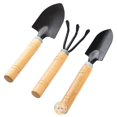 thumbnail image 1 of Varilla gruesa: juego de 3 piezas: mini herramientas de jardinería, pala, rastrillo, pala, plantas suculentas en maceta, herramientas de jardinería, garra con mangos de madera, 1 of 5