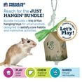 thumbnail image 2 of Prevue Pet Products Just Hangin' Small Animal Toy Bundle, 2 of 10