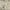 Green, variant on Nourison Grafix Persian Multicolor 5'3" x 7'3" Area Rug, (5x7)