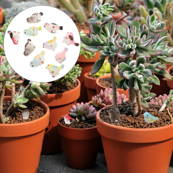 10 Pcs Mini Bird Decoration Miniature Figurines Realistic Small Toy