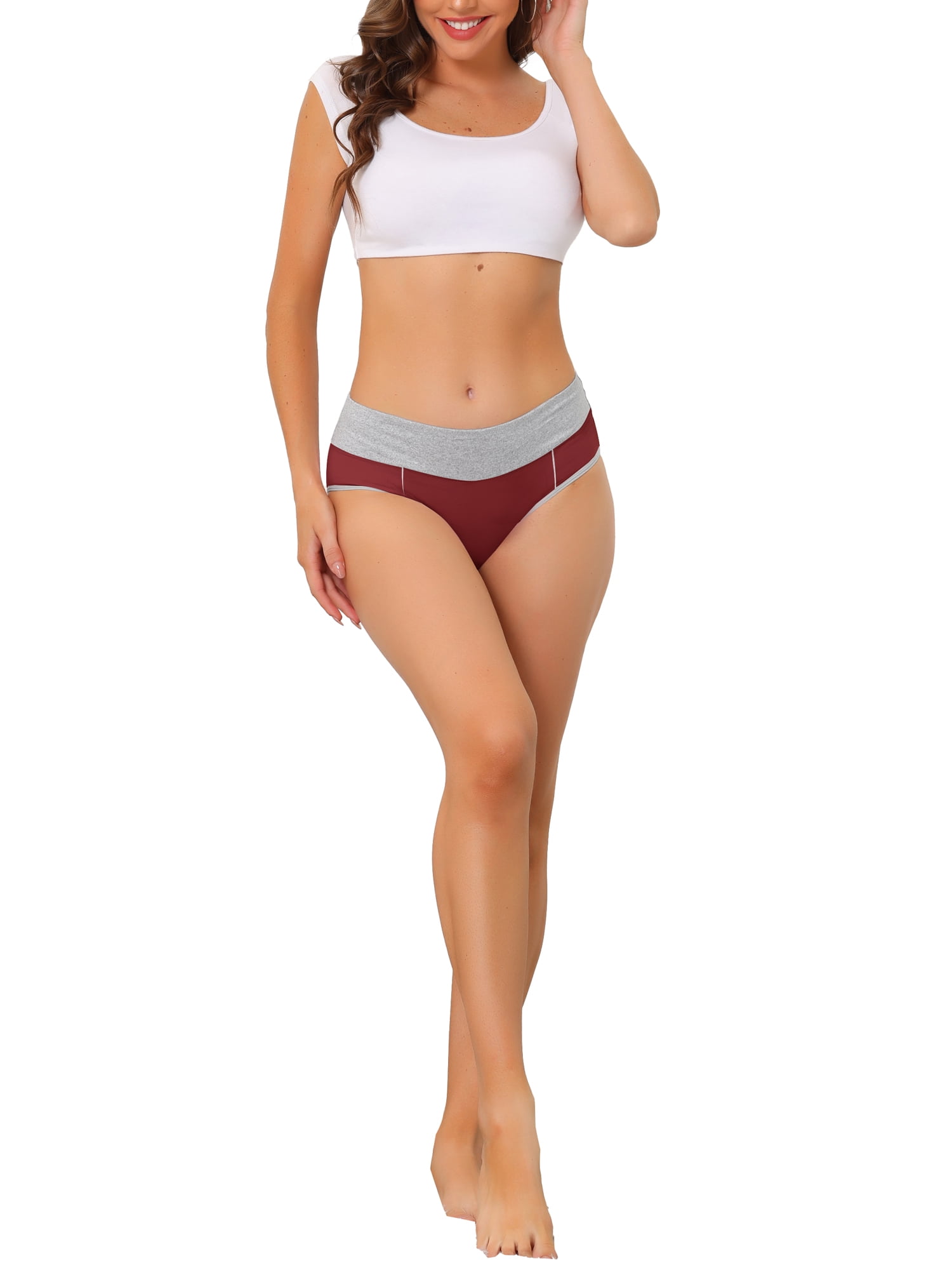 Unique Bargains Women's Plus Size 5 Packs Brief Stretchy Underwear Purple, Burgundy, Orange, Light Pink, Hot Pink 1X