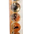 thumbnail image 3 of Safari Ltd. Geoworld Billes Anti-Insectes - Ensemble de 8 Billes de 1 Pouce avec Spécimens d'Insectes Réels, 3 of 4