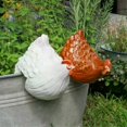 thumbnail image 2 of Plug In Resin Chicken Sitting On Fence Resin Chicken Figure For Fences Or Any Flat Surface Housewarming Gift Chicken Fence, 2 of 5