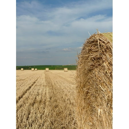 LAMINATED POSTER Harvest Time Straw Bales Stubble Round Bales Poster Print 24 x