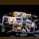 thumbnail image 1 of 10 Unids / Set de Ciencia de Biología de de Fósiles Naturales con Una Caja de Presentación, Juguete de Aprendizaje iños, de Hugo Kit de recolección de fósiles, 1 of 10