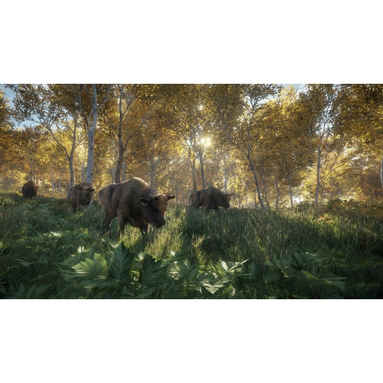  theHunter: Call of the Wild - PC : Video Games