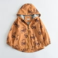thumbnail image 1 of Veste à Capuche à Double Couche à Manches Longues pour Garçons, 1 of 5