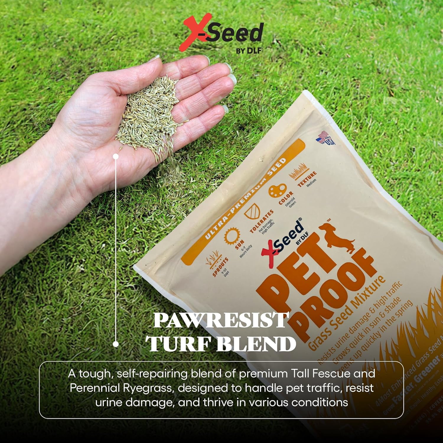 X-Seed Pet Proof Fescue Grass Seed – Dense Lawn for Sun & Shade, Urine Resisitant High Traffic Emerald Green Grass, Rapid Growing In Cool & Sunny Climates,Suited for Dogs – Perennial Blend -3 lb Bag