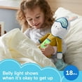 thumbnail image 3 of Fisher-Price Hoppy Dreams Soother & Sleep Trainer Plush Musical Toy for Toddlers, 3 of 7
