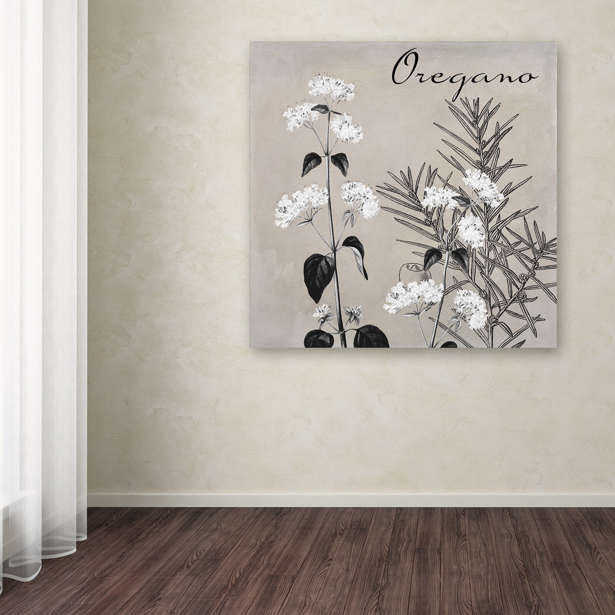Trademark Fine Art "Flowering Herbs II" Canvas Art by Color Bakery