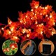 thumbnail image 1 of Paquete de 3 luces de otoño, decoración de otoño, total de 30 pies/60 luces LED de hoja de arce, funciona con pilas, guirnalda iluminada para otoño, decoración de otoño para el hogar, decoración de interior y exterior, decoración de mesa de chimenea de Acción de Gracias, Halloween brillar Electrónica, 1 of 5