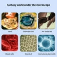 thumbnail image 2 of PENGXIANG Microscope for Kids 60-120x Electric Mini Pocket Microscope with LED Light Microscope for Kids Students Microbiological Observation Learning White, 2 of 7