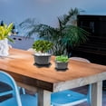 thumbnail image 4 of unbranded 2Jgo Maceta Plástica Y Práctica Para Plantas En Interior Y Exterior, 4 of 5