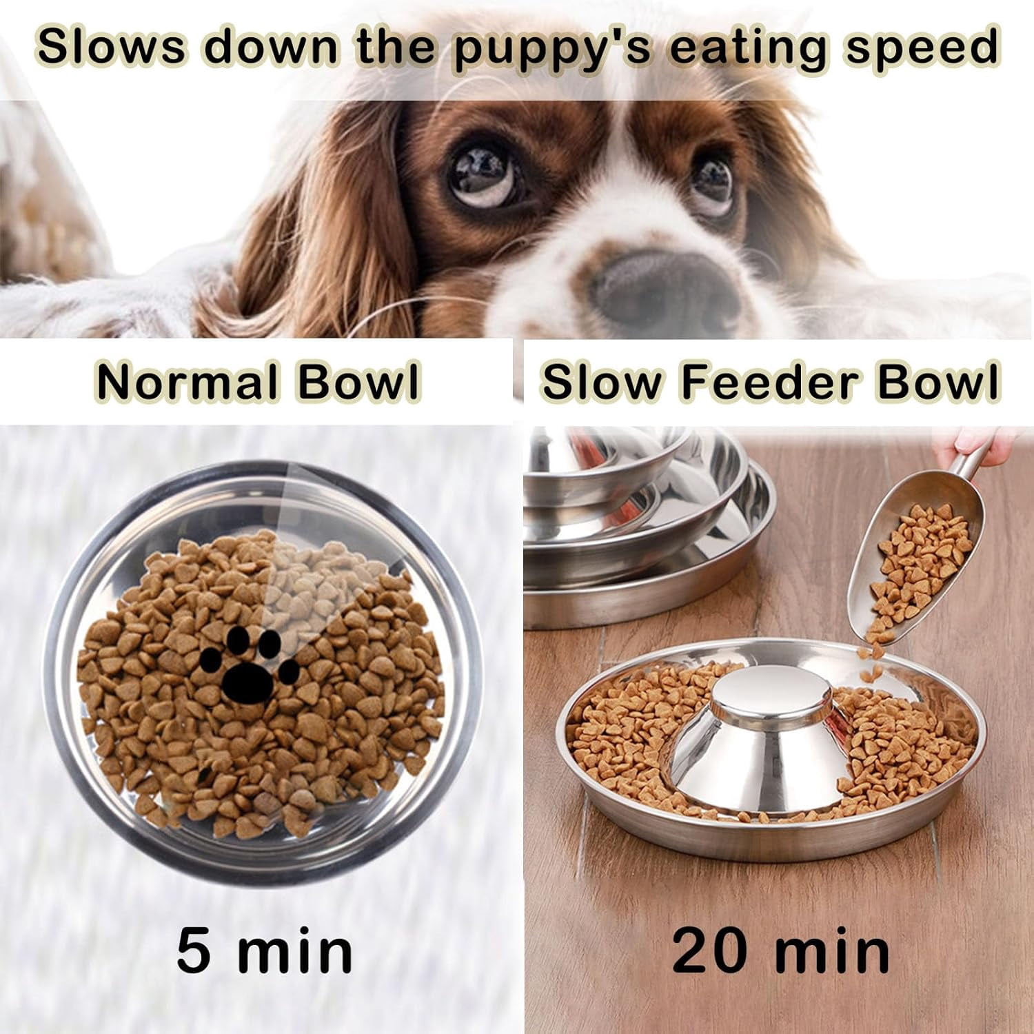 2 Pack Stainless Steel Puppy Bowls - 10 Inch Puppy Feeders Slow Pet Dog Feeding Bowls for Multiple Puppies - Food and Water Bowl for Small Dogs, Cat