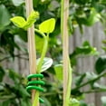 thumbnail image 3 of Clearance! Nomeni Storage Storage Garden Flexible Tie, Tie Soft Plant Ties Tpr Twists Tie Support Plant Vines Gardening Green, 3 of 8