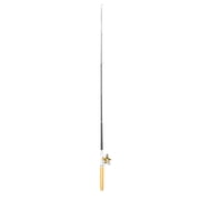 Portable Pen Fishing Rod, Lightweight Pocket Fishing Rod with Reel, High Strength, Fashion Statement for Fishing