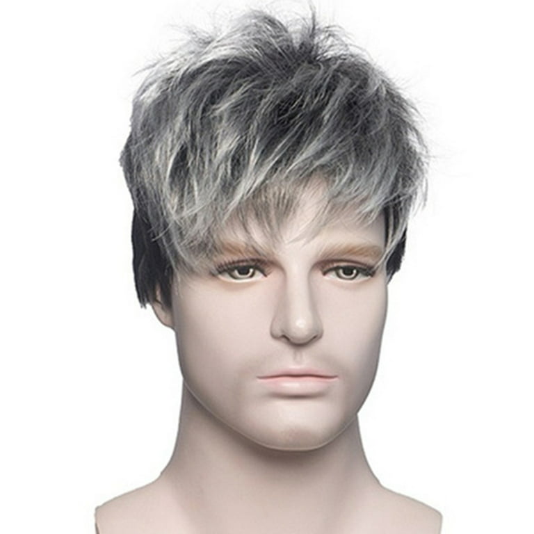 Mens Wig Short Gray Wigs for Men Natural Straight Short Grey Mixed Balck  Wigs Male Cosplay Synthetic Silver Wigs Short Hair