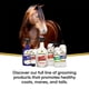 thumbnail image 4 of Removedor de Manchas y Blanqueador para Caballos Absorbine ShowSheen 600 mL, 4 of 5