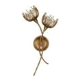 thumbnail image 2 of Protea 2-Light Wall Sconce in Manchester by Breegan Jane, 2 of 5