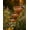 Light Copper, variant on Rain Catcher Bird Bath & Multi-Tiered Water Feature, Rustic Metal Garden Stake, Safe Shallow Bee-Friendly Hydration Bowls, Weather-Resistant Outdoor Bird Bath for Yards, Lawns, Gardens，Copper