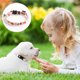 thumbnail image 3 of Juego de collar y correa con diadema para perro, collar ajustable para caminar y correr al aire libre para perros todos los días MFZFUKR CPB-US-YY383-6, 3 of 5
