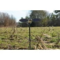 thumbnail image 3 of MOJO OUTDOORS HW2488 MOJO ELITE SERIES DOVE DECOY, 3 of 6