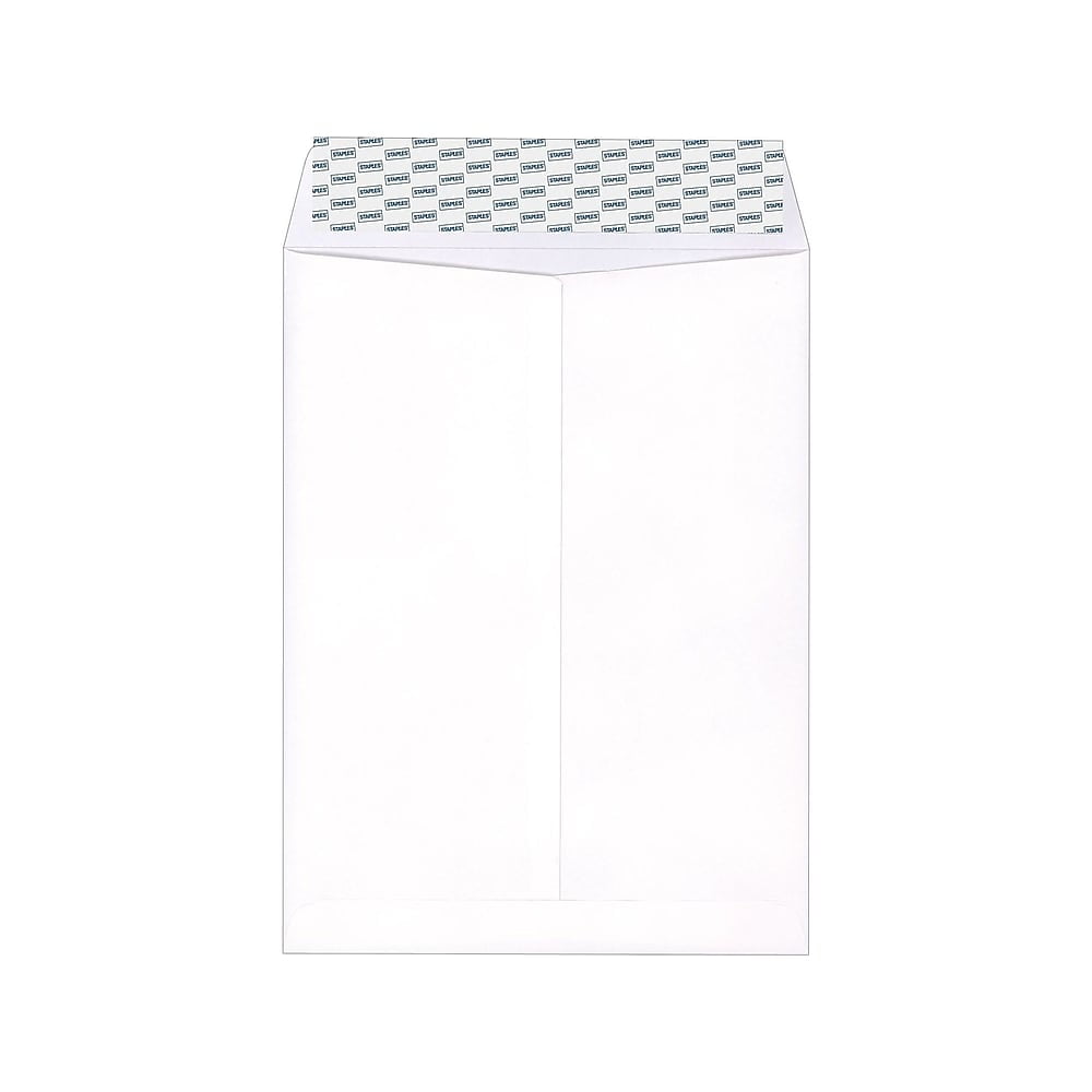 Staples EasyClose Catalog Envelopes 6' x 9" White Wove 100/Box (20139