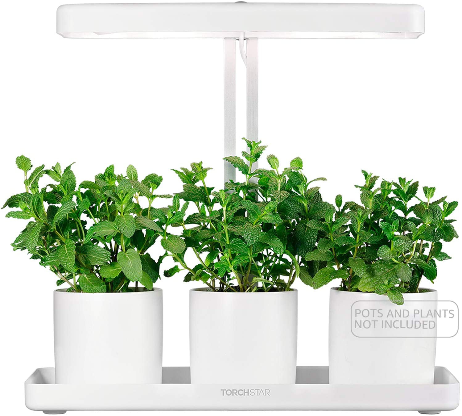 Indoor Herb Garden with Timer Function Plant Grow LED Light Kit 24V Low 
