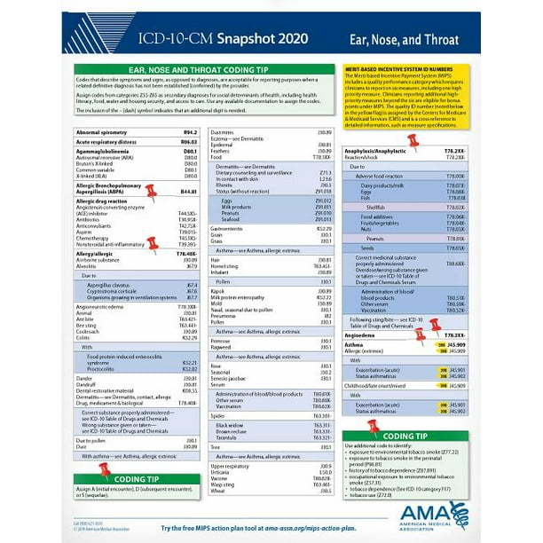ICD10CM 2020 Snapshot Coding Card Ear, Nose, and Throat Walmart