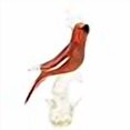 thumbnail image 3 of GlassOfVenice Murano Glass Cockatoo - Red and Gold, 3 of 4