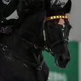 thumbnail image 2 of EONQY Horse Headband LED Horse Breastplate Collar LED Strip Visibility Tack Horse Head Strap Bandage Strap for Night Horse Riding Equestrian Competition Event, 2 of 7