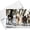 HAPPY HOLIDAY DOGS, variant on Merry Christmas Snow Cards & Envelopes - 20 Cards & 20 Envelopes Per Pack (MERRY CHRISTMAS)