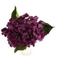 thumbnail image 2 of Artificial de Flor para Decoración de Tab Office D Zulema Flor artificial, 2 of 8