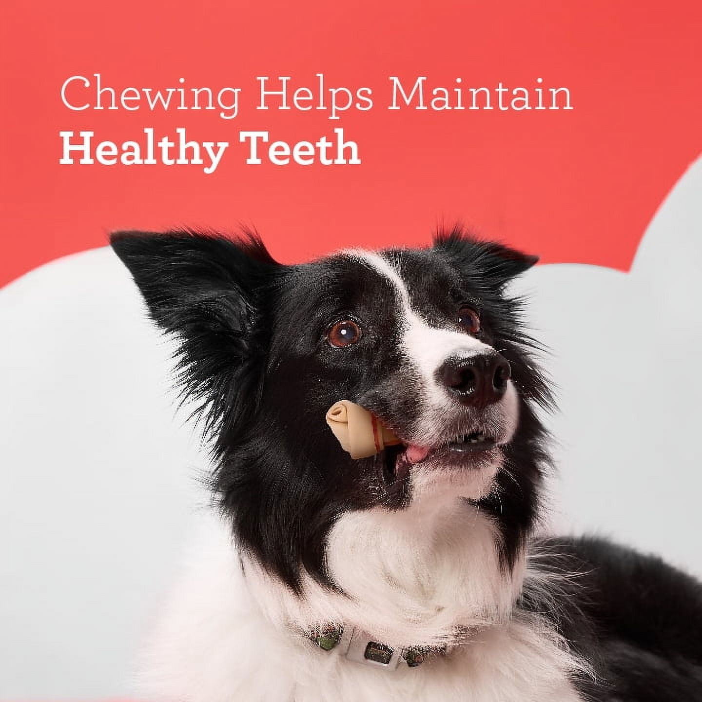 (3 pack) DreamBone Classic Bone Mini Rawhide-Free Chews for Dogs, Made with Real Chicken, 20 Count