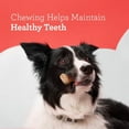 thumbnail image 6 of DreamBone Classic Bone Mini Rawhide-Free Chews for Dogs, Made with Real Chicken, 20 Count, 6 of 9