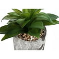 thumbnail image 6 of Artificial Plant - 6" Tall - Indoor - Table - Potted - Set Of 2 - Green Leaves, 6 of 7