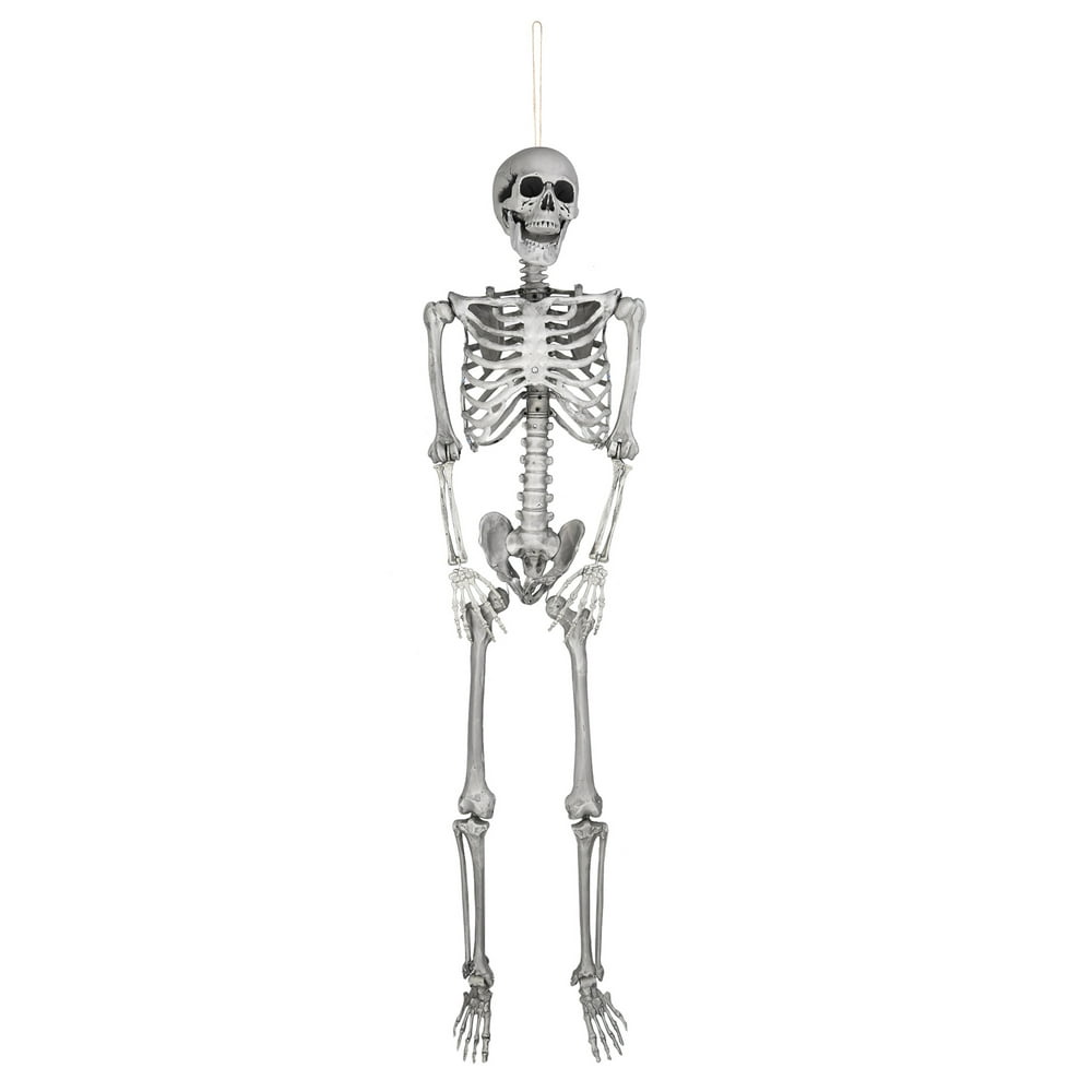 Halloween Skeleton 5ft
 5ft Full Body Skeleton Props with Movable Joints for Halloween Party