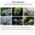 thumbnail image 2 of Turtle Heat Bulb 50W Pet Heat Lamp Ceramic Heat Lamp Infrared Reptile Heat Lamp, 2 of 3