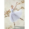 thumbnail image 3 of Rizzardi, Teo 18x24 Black Modern Framed Museum Art Print Titled - White Ballerina, 3 of 5