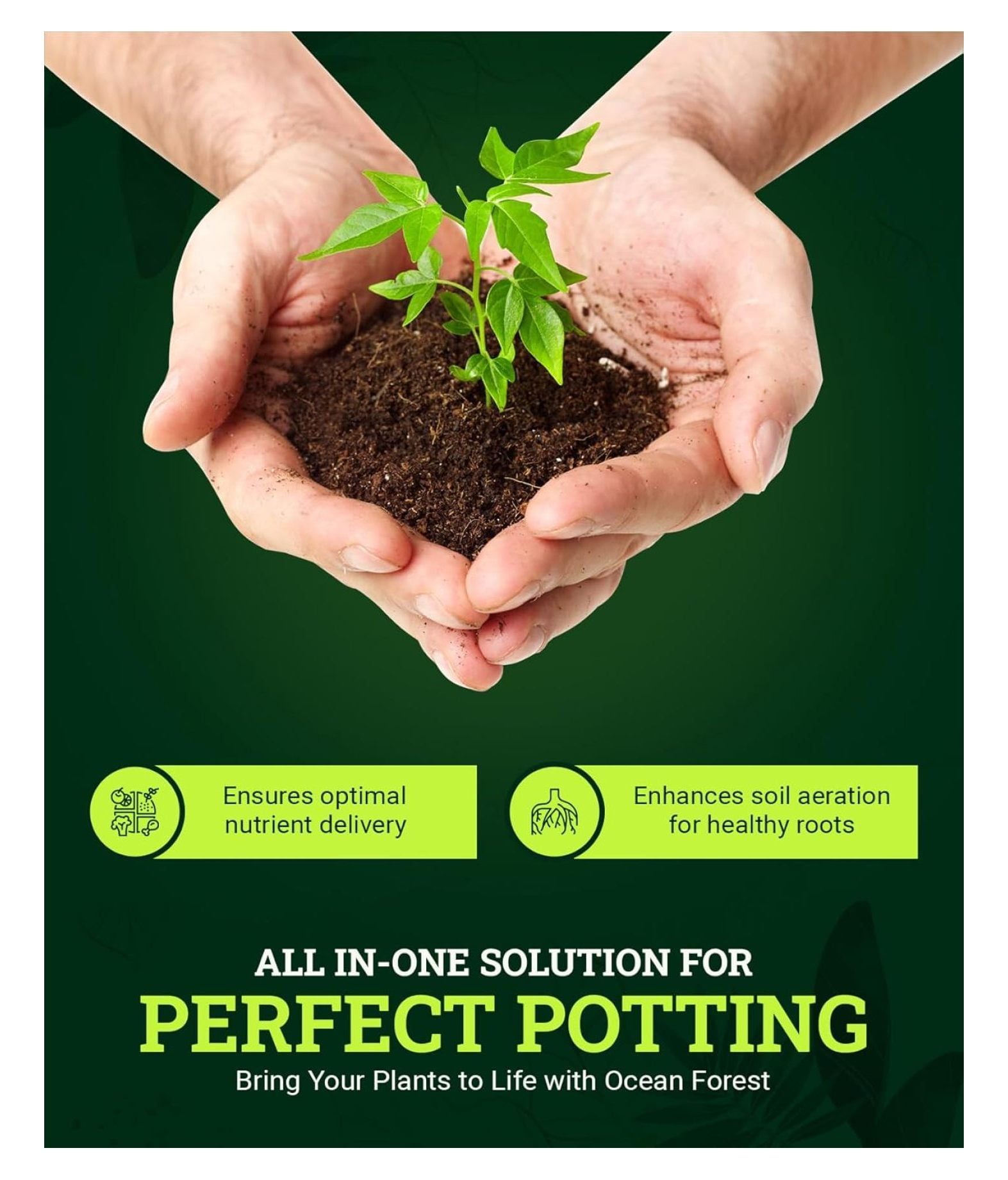Ocean Forest Potting Soil, 12 Quart (2 Pack) - Light, Aerated Texture