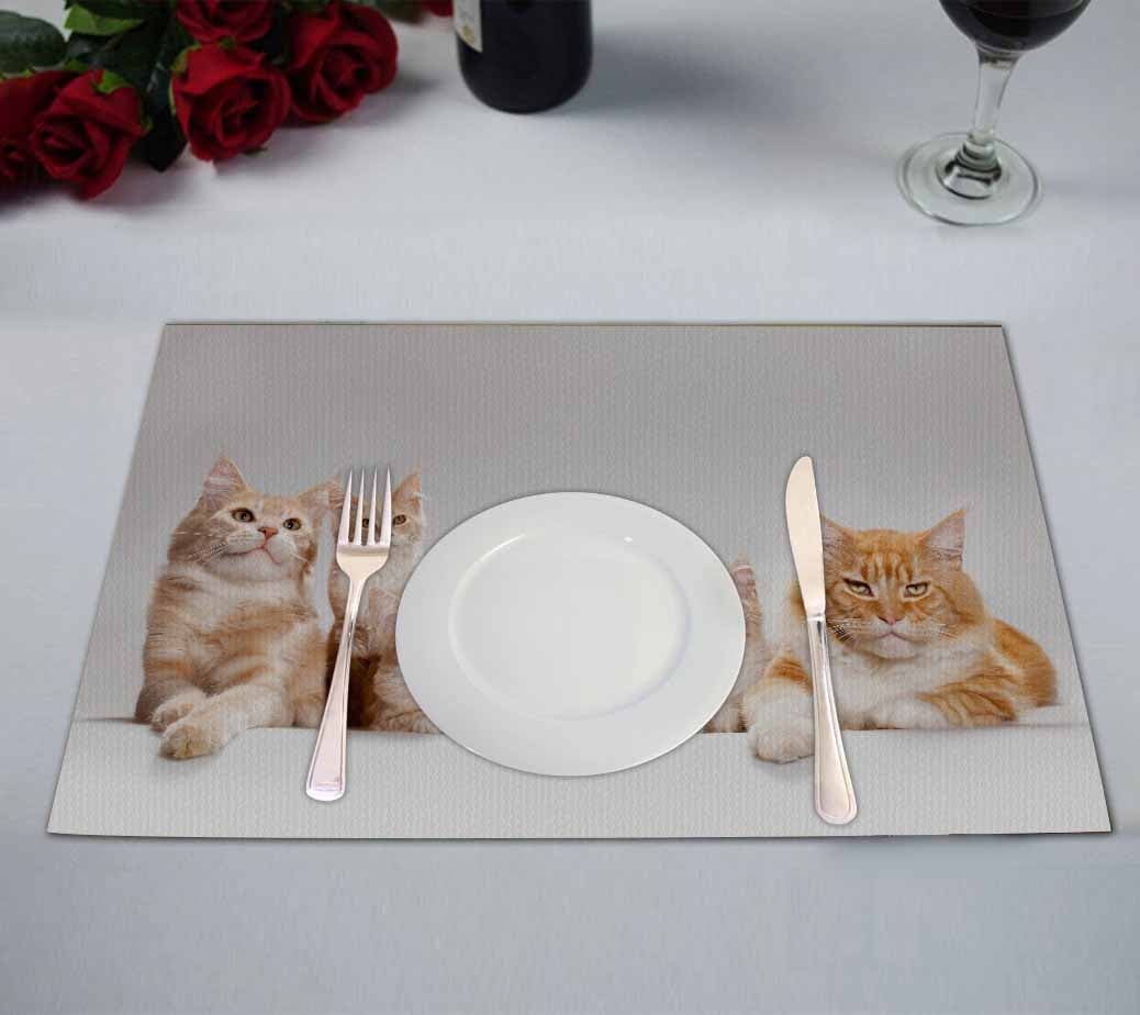 PKQWTM red little kittens Kitchen Dining Table Mats Placemats Size